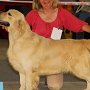 DUOCACIB Brno 2012 - V1 CAC, CACIB